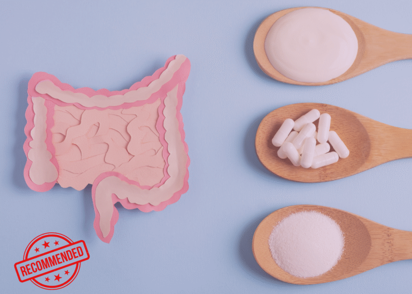Healthcare professional recommended gut health supplements image of a gut and spoonfuls of supplements